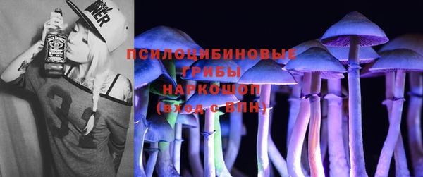 сатива Алзамай