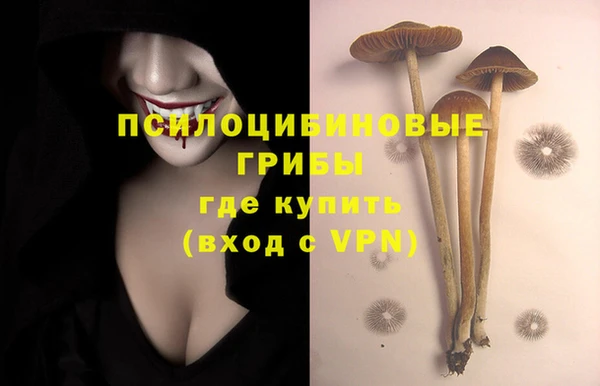 сатива Алзамай