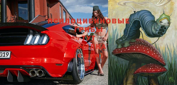 Альфа ПВП Алексин