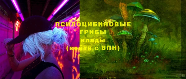 сатива Алзамай