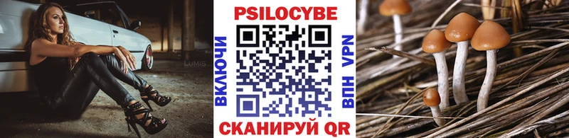 Галлюциногенные грибы Psilocybine cubensis  Купить закладки  Сланцы 